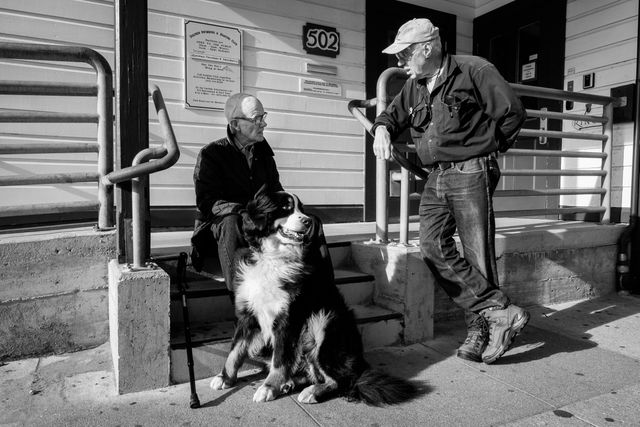 Two old men and a dog at Fisherman's Wharf.