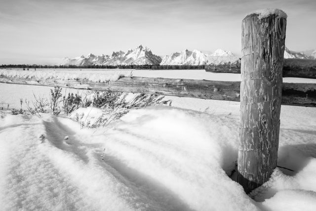 A wooden cattle fence and sagebrush in wind-swept snow in the winter. In the background, the Teton Range.