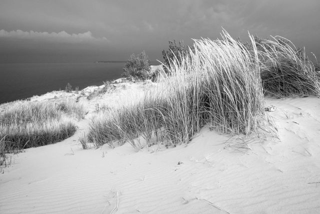 Dune grass on a sand dune at Sleeping Bear Dunes National Lakeshore, on a stormy day. In the background, South Manitou Island and a distant storm.