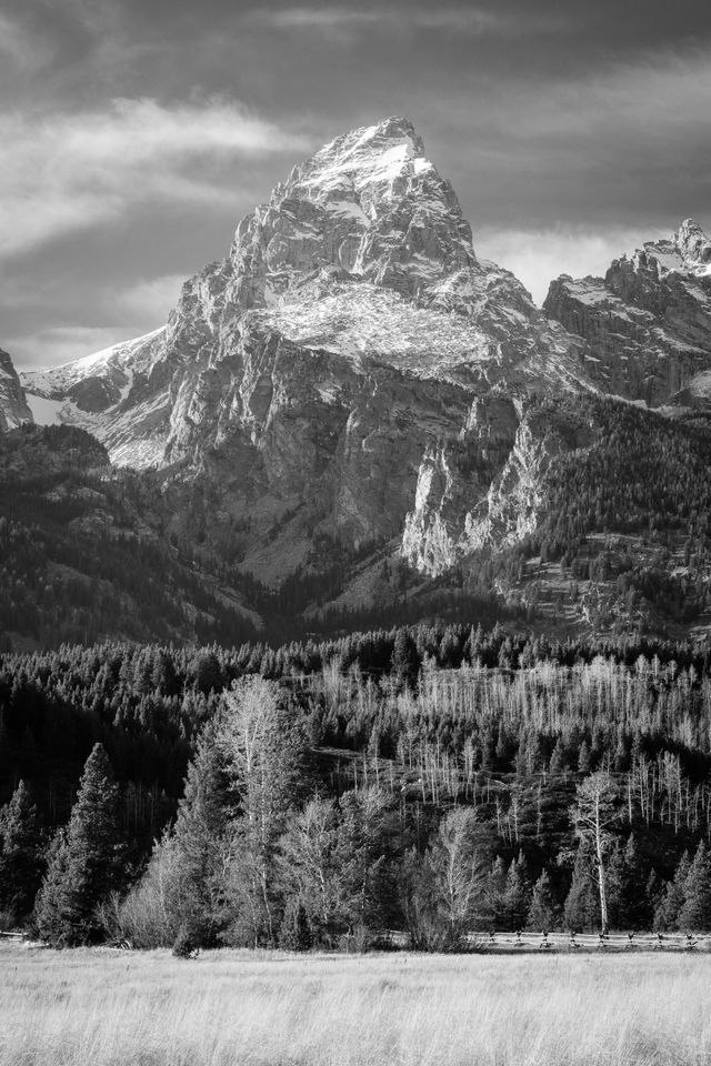 Grand Teton seen behind a line of trees.