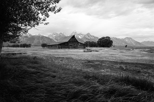 The T.A. Moulton Barn on an overcast morning, with the Tetons in the background.