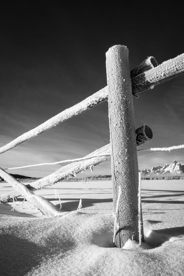 A frost-covered fence in the snow at Elk Ranch Flats. Grand Teton can be seen in the background.