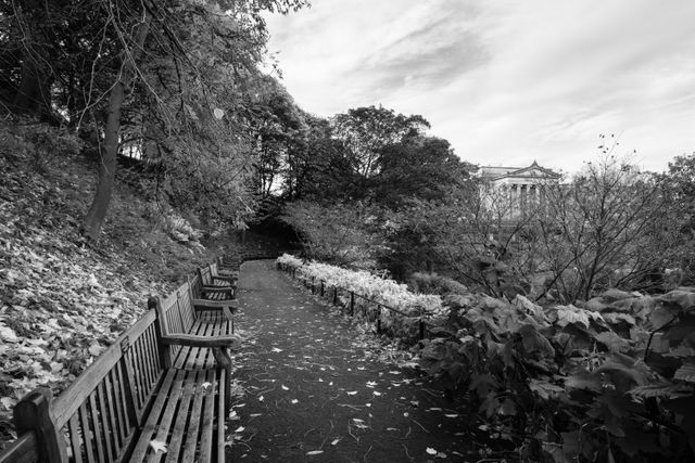 A row of benches at Princes Street Gardens in Edinburgh, with the Scottish National Gallery in the background.