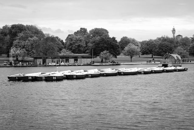 Boats floating in the Serpentine at Hyde Park.