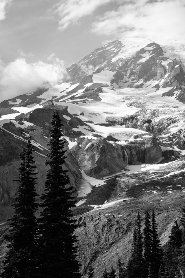 Mt. Rainier seen behind some trees from the Deadhorse Creek Trail in Mt. Rainier National Park.