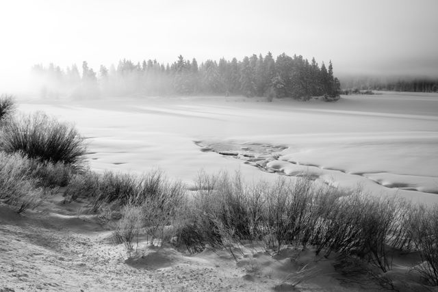 Oxbow Bend, covered in snow during a very cold, foggy morning.