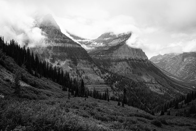 Mount Oberlin, with its summit surrounded in swirling clounds, as seen from the Going-to-the-Sun Road.