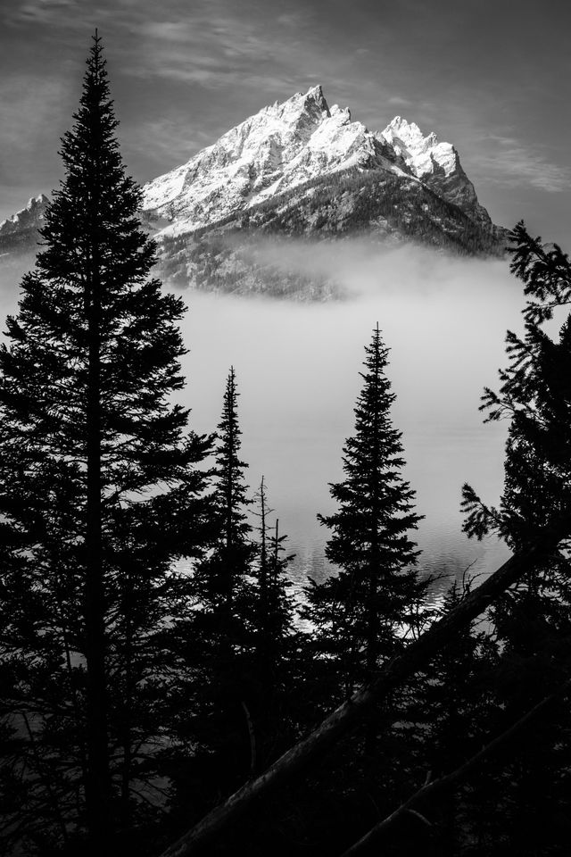 Teewinot Mountain, partially covered in fog, seen behind trees at Jenny Lake.