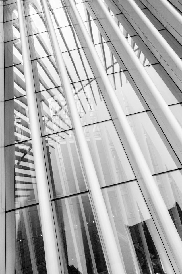 The ribs of the Oculus, reflected in its glass.