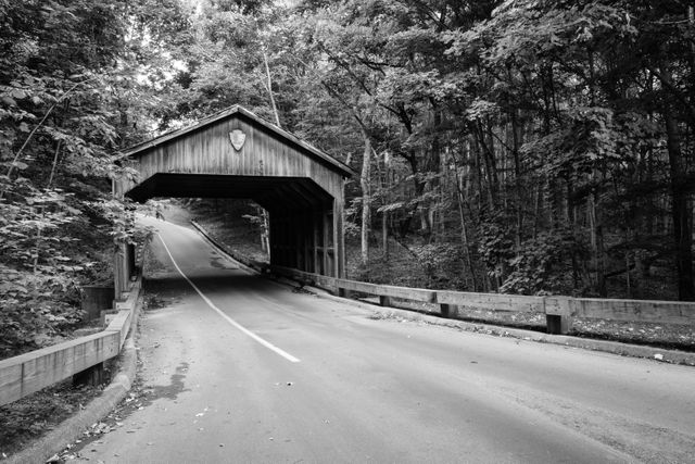 The covered bridge on the Pierce Stocking Scenic Drive.