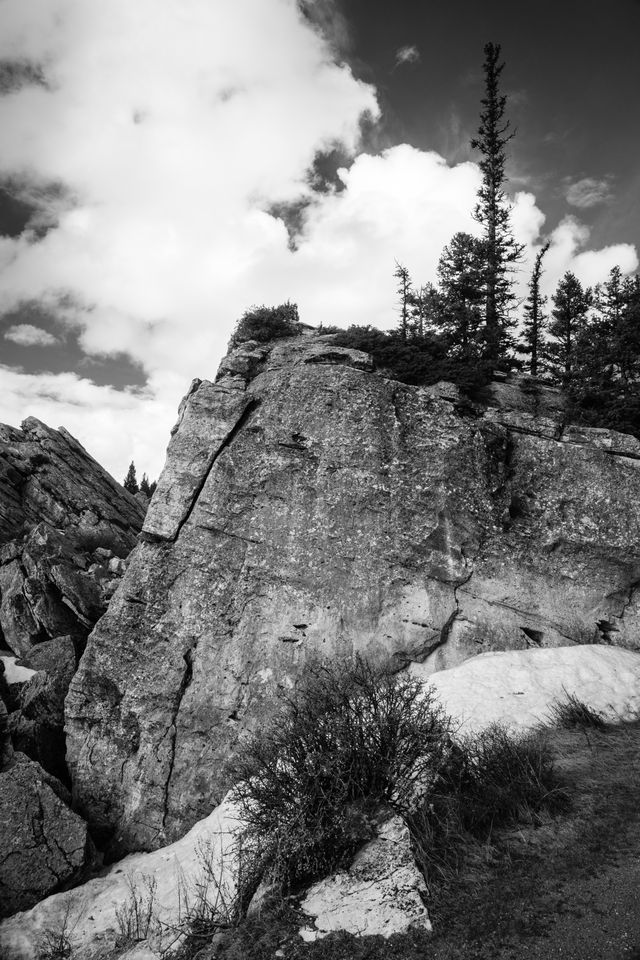 Trees and bushes growing among the rocks of the Hoodoos in Yellowstone.