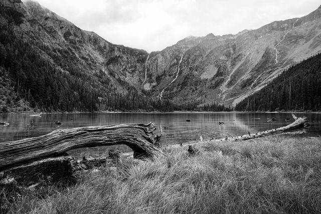 Avalanche Lake. In the background, waterfalls running down the sides of the mountain. In the foreground, a fallen tree can be seen near the shore of the lake, which is covered in grass.