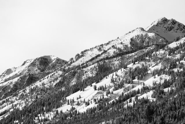 One of the mountains in the Teton range, covered in snow and trees, seen from the Taggart Lake Trailhead.