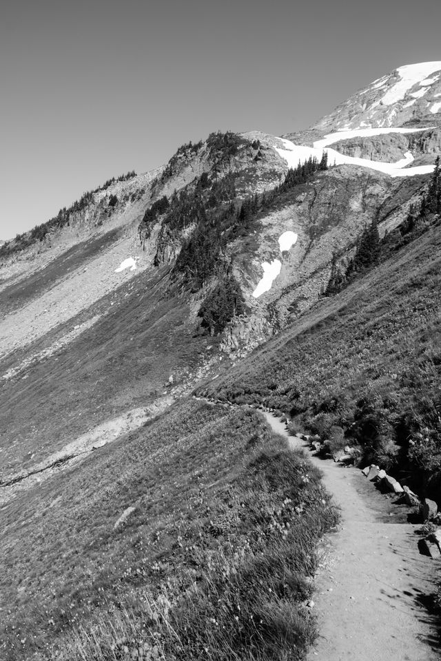 The Golden Gate Trail, seen along the side of a hill on Mount Rainier National Park.