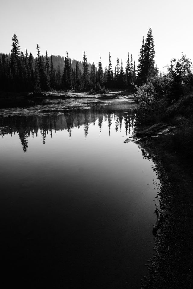 Trees reflected off the waters of the Reflection Lakes at Mount Rainier National Park, with fog hanging off the surface.