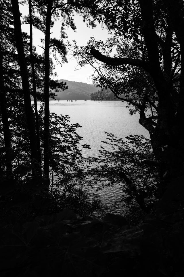 Lake Ocoee, seen through trees at Cherokee National Forest.