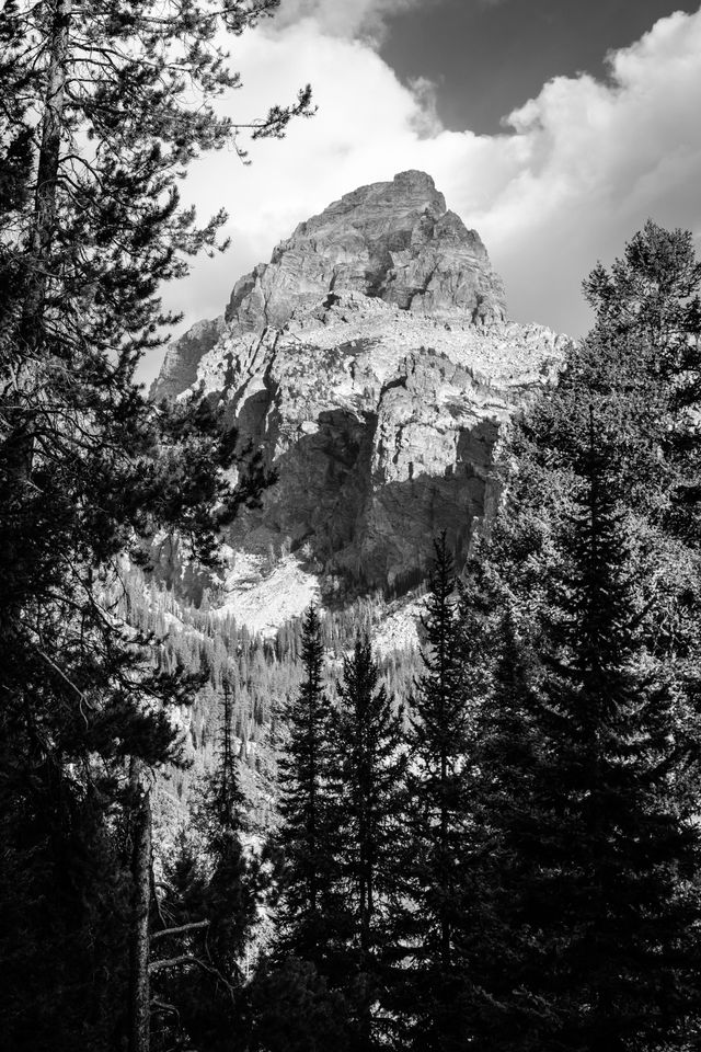 Grand Teton, seen between the trees on the Bradley Lake trail.