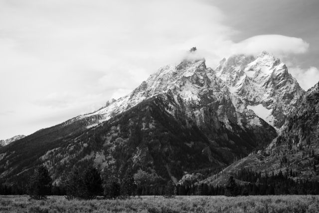 Teewinot Mountain, Mount Owen, and Grand Teton, from the Cathedral Group Turnout.