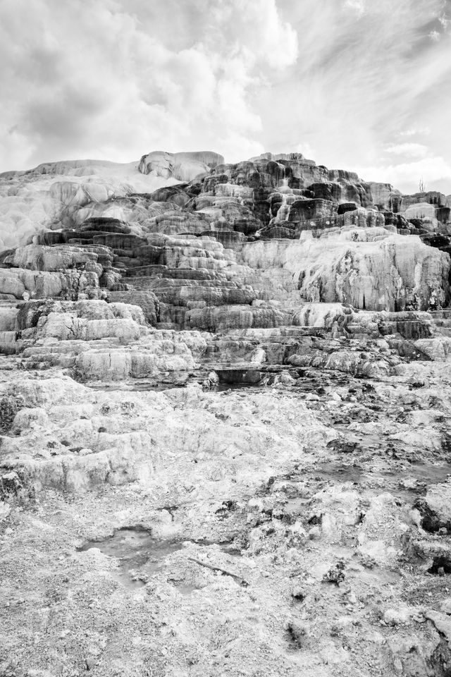 The calcified terraces of the Mammoth hot springs in Yellowstone.