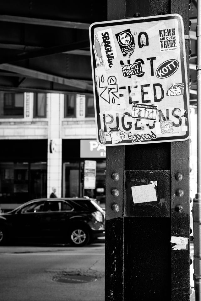 A "do not feed pigeons" street sign covered in stickers.