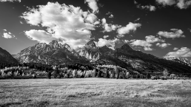 The Cathedral Group of the Teton Range seen under scattered clouds in late afternoon behind a grassy field and autumn trees.