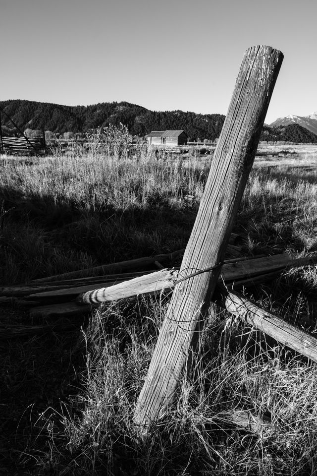 A partially collapsed wooden fence at Mormon Row in Grand Teton National Park.