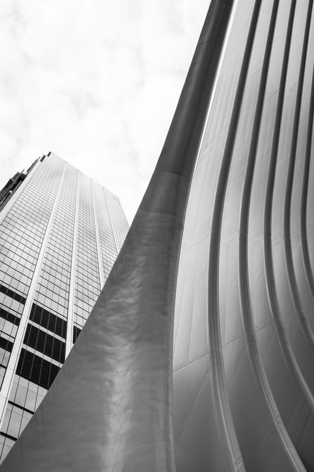 The ribs of the Oculus.