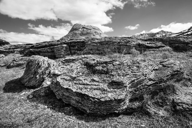 A huge calcified boulder in front of Soda Butte, in the Lamar Valley.