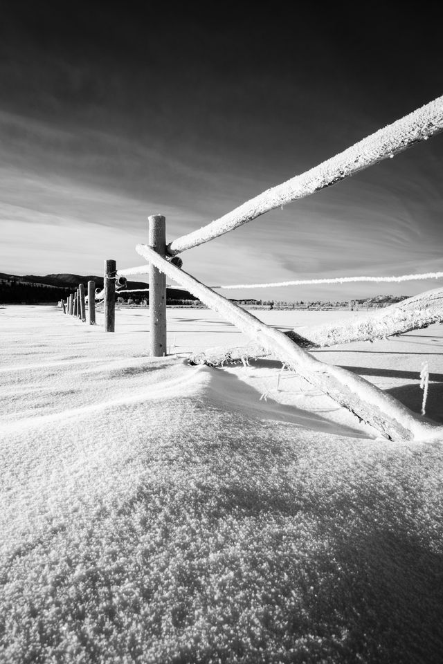 A frost-covered fence in the snow at Elk Ranch Flats.