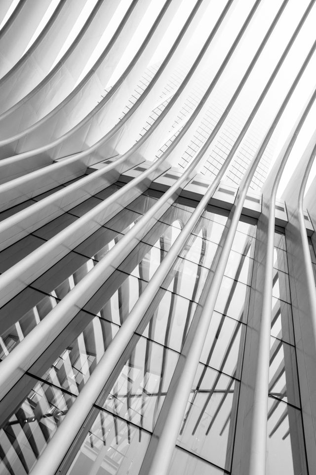 Looking up at the ribs of the Oculus and their reflection on the glass.