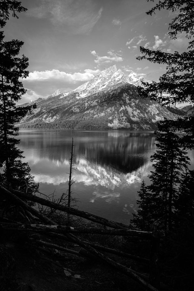 Grand Teton, seen from an overlook at Jenny Lake, with some trees and a wooden fence in the foreground.