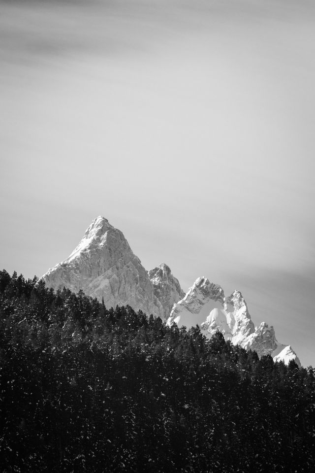 Grand Teton peeking behind a line of trees at Oxbow Bend.