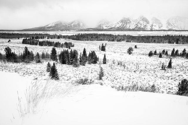 A distant view of a snowstorm obscuring the Teton Range, from the Teton Point Turnout.