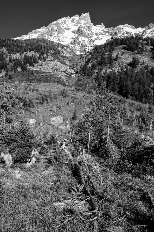 Teewinot Mountain, seen from the Moose Ponds Loop trail.