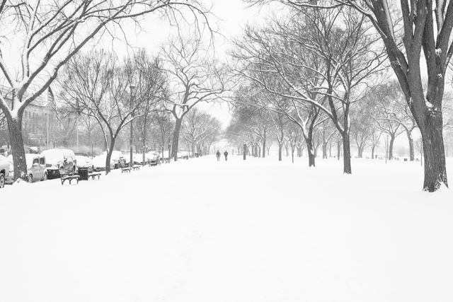 The National Mall, covered in snow.