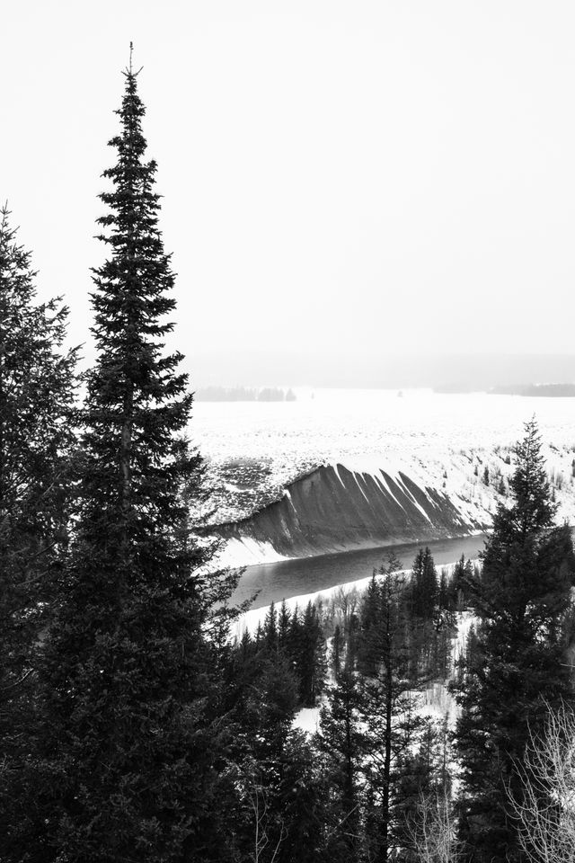 The Snake River, seen behind the trees from the Snake River Overlook as a snow storm approaches.