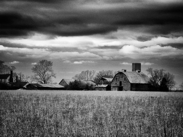 Barns just off I-95 near Fredericksburg, VA.