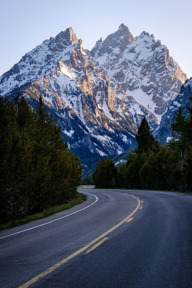 The Cathedral Group of the Teton Range, seen in golden sunset light with Jenny Lake Road lined with pine trees and curving in the foreground.