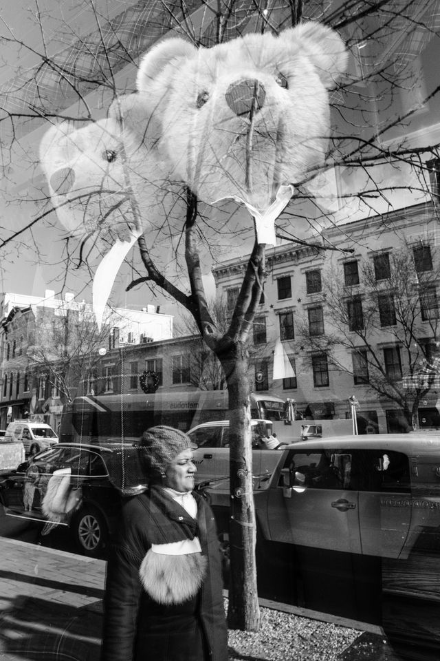 A person reflected on the front window of a Ralph Lauren store, with two well-dressed bears in it.