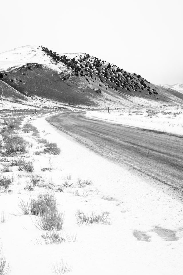 A snowy road in the National Elk Refuge, leading towards Millers Butte.