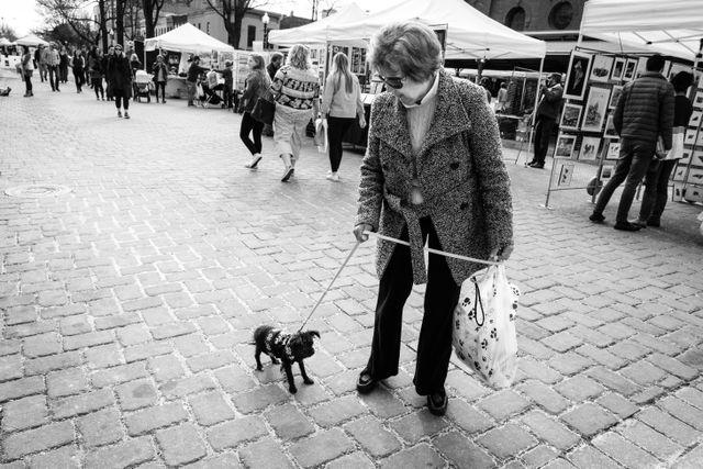 A woman trying to convince Lulu, a very reluctant black chihuahua, to walk along 7th Street near Eastern Market.