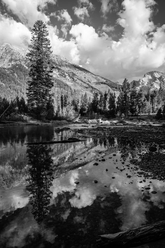 Clouds, trees and the Teton range, reflected of the water of String Lake's outlet.