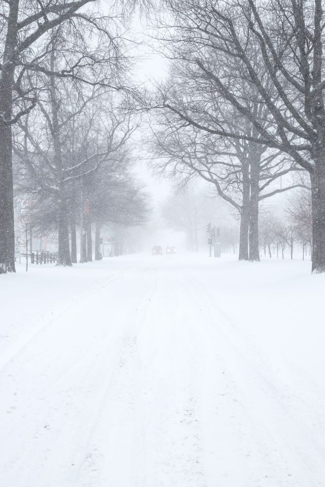 Pennsylvania Avenue SE completely covered in snow.