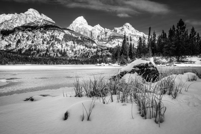 Reeds growing out of the snow on the shore of a frozen Taggart Lake. In the background, Nez Perce Peak, Grand Teton, Mount Owen, and Teewinot Mountain.