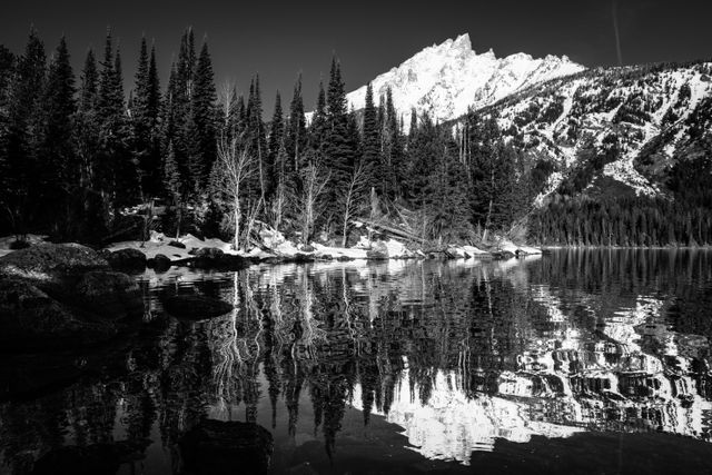 Teewinot Mountain, seen reflected on the surface of Jenny Lake. In the foreground, the snow-covered shore of the lake.