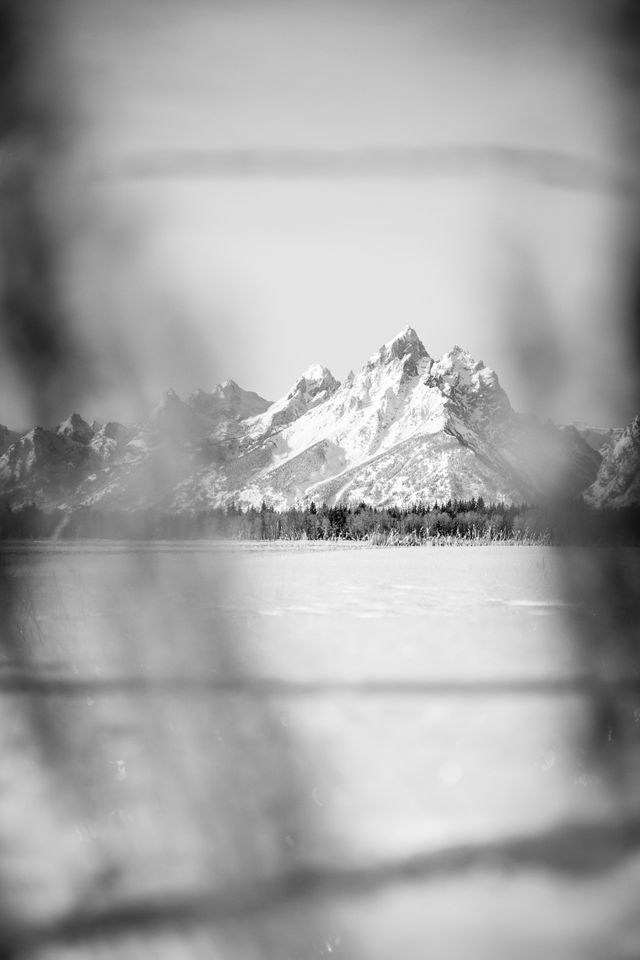 Grand Teton, seen in winter from Elk Ranch Flats between some out-of-focus sagebrush.