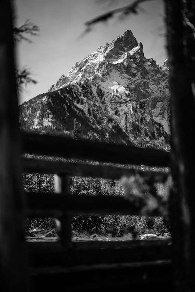 Teewinot Mountain, framed by a couple of trees and the handrails of a wooden bridge.