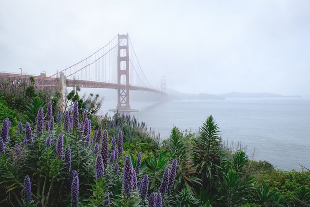 The Golden Gate Bridge in the fog, from the visitors center.