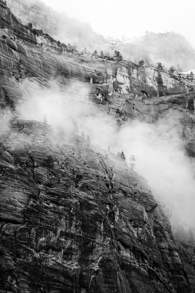 A rock wall in the Great White Throne, with some trees seen in the fog.