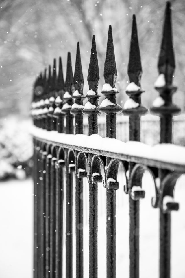 Snow piling on an iron fence at Lafayette Square.